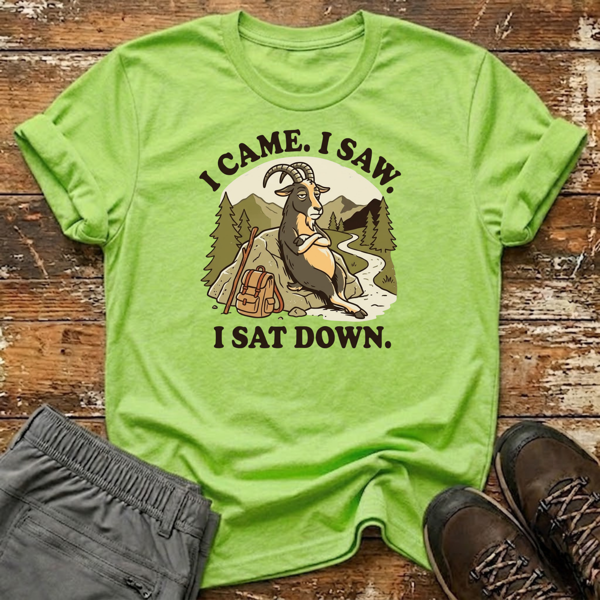 I Came. I Saw. I Sat Down. T-Shirt